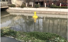  多參數水質分析儀在城市景觀河道上的應用