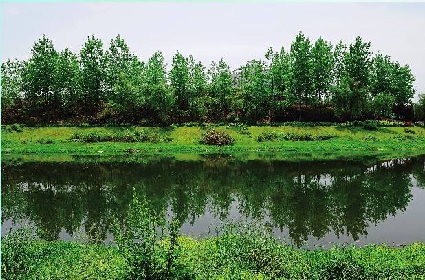  小微型水質(zhì)監(jiān)測站如何選用水質(zhì)自動采樣器？