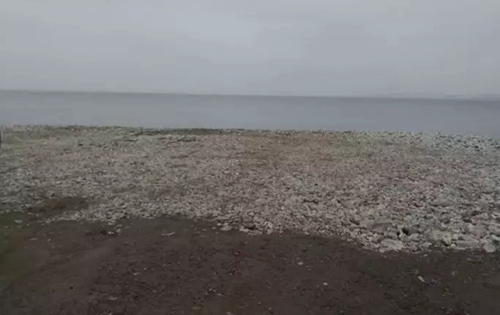 吉林省四平市二龍山水庫水源保護(hù)區(qū)3.7萬株生態(tài)涵養(yǎng)林被砍伐